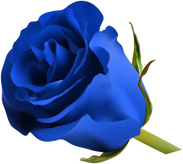 Royal Blue Rose with Green Stem
