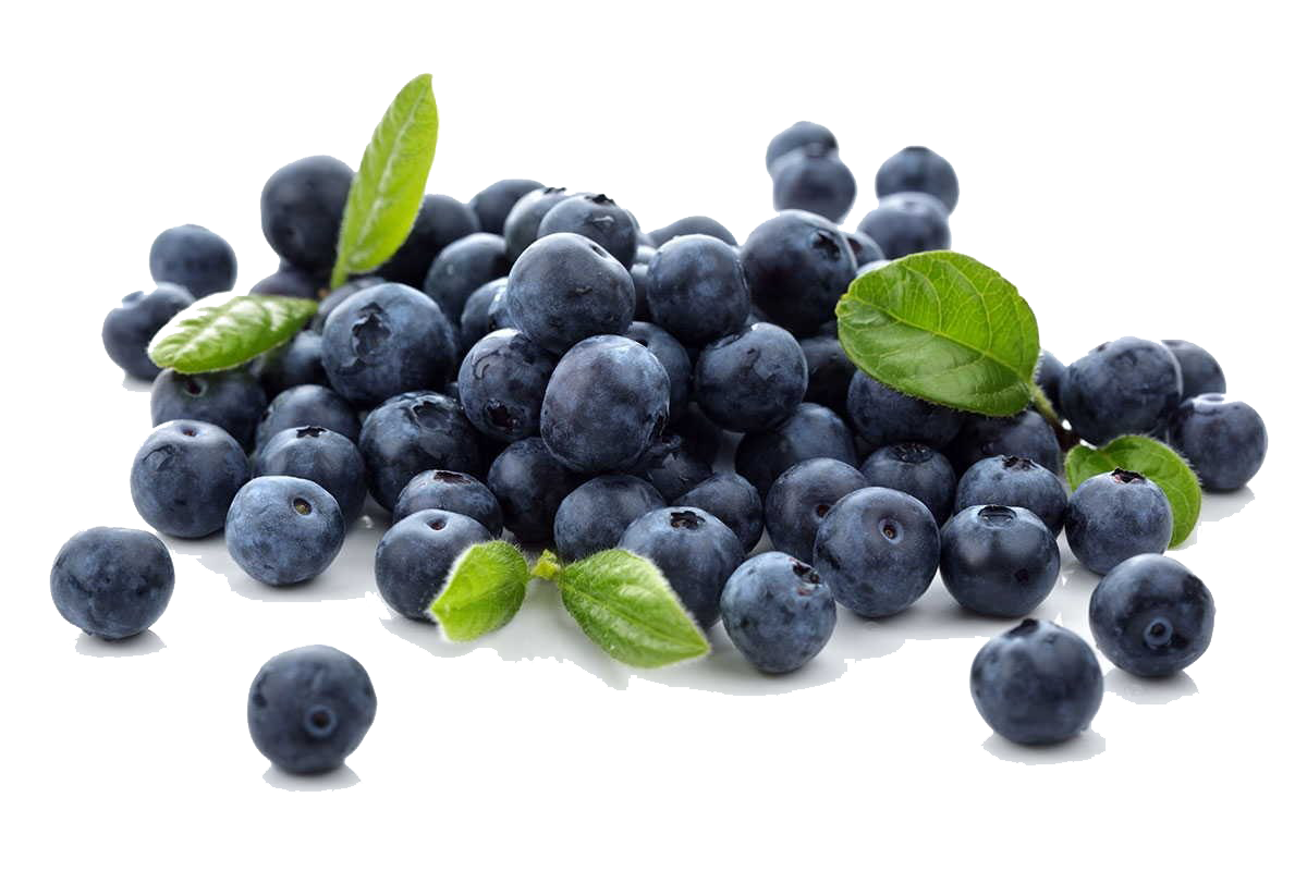 Fresh Blueberry Pile with Green Leaves