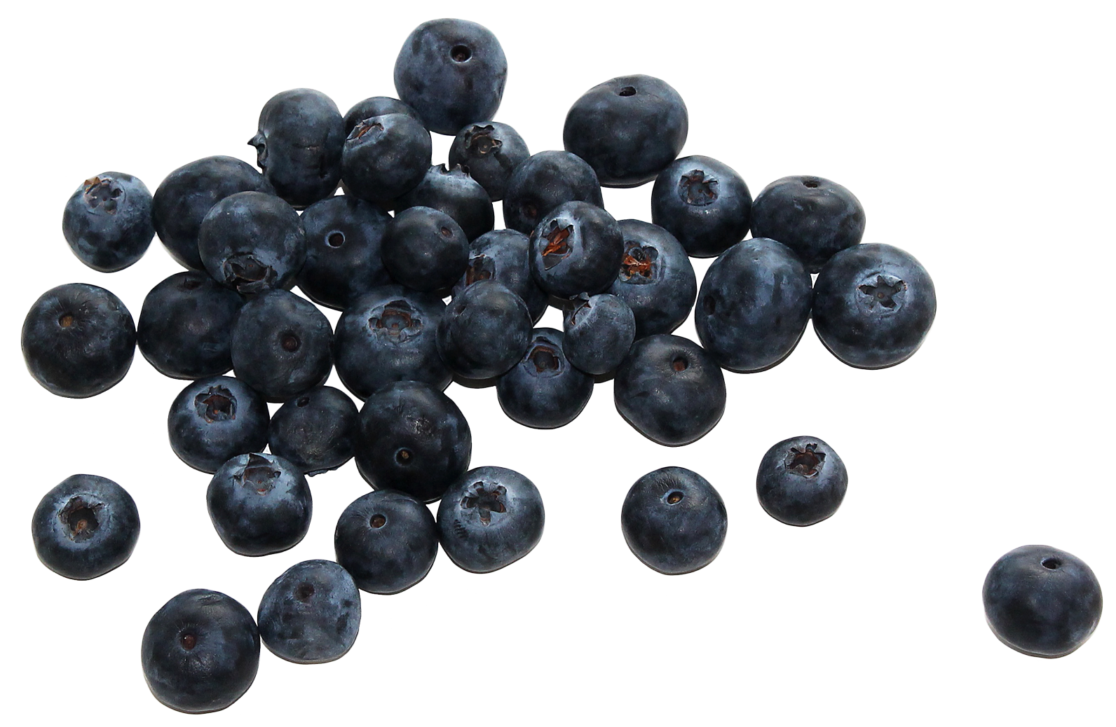 Scattered Dark Blueberries with Dusky Bloom