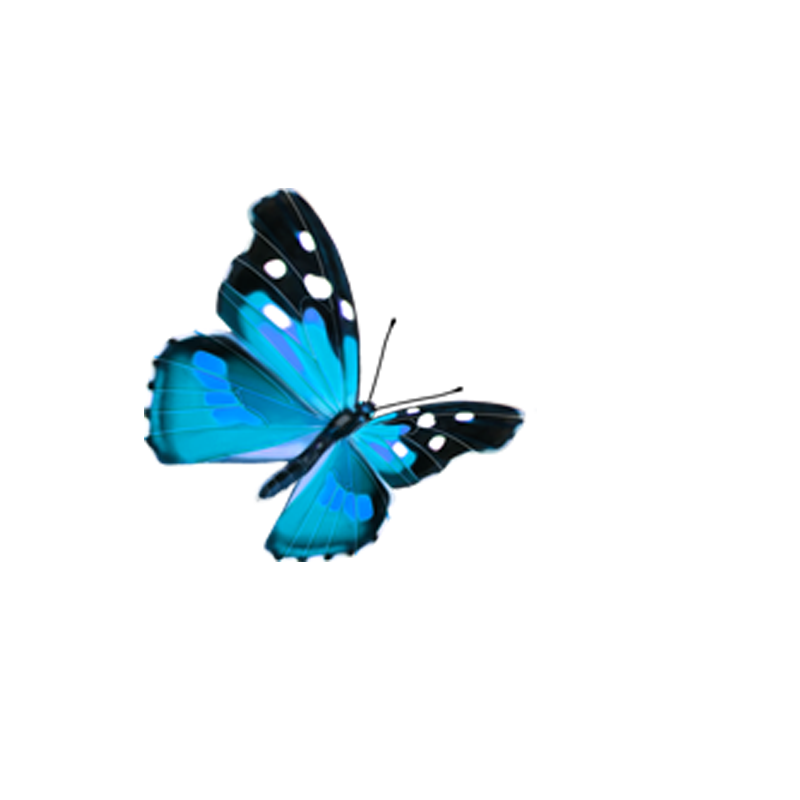 Blue Butterfly with Black Spotted Wings