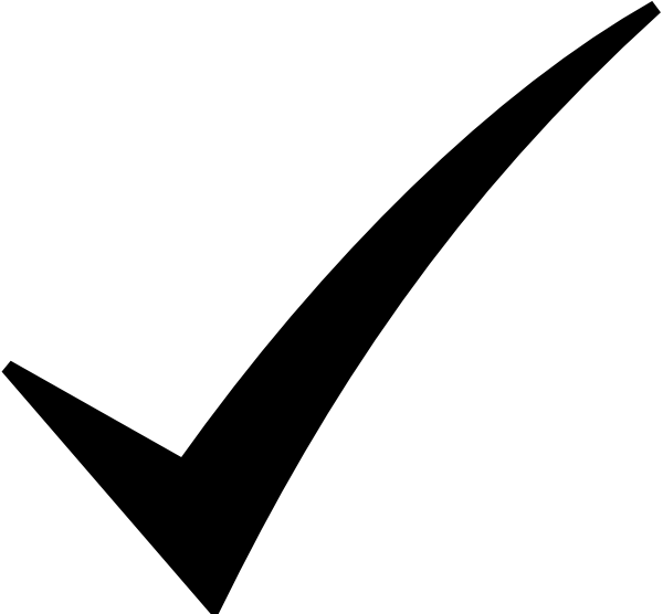 Bold Black Brush Check Mark Icon
