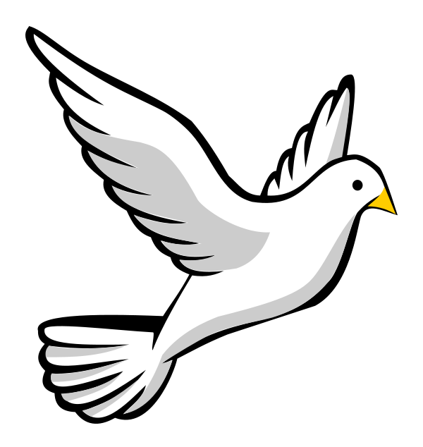 White Dove in Flight with Bold Outline