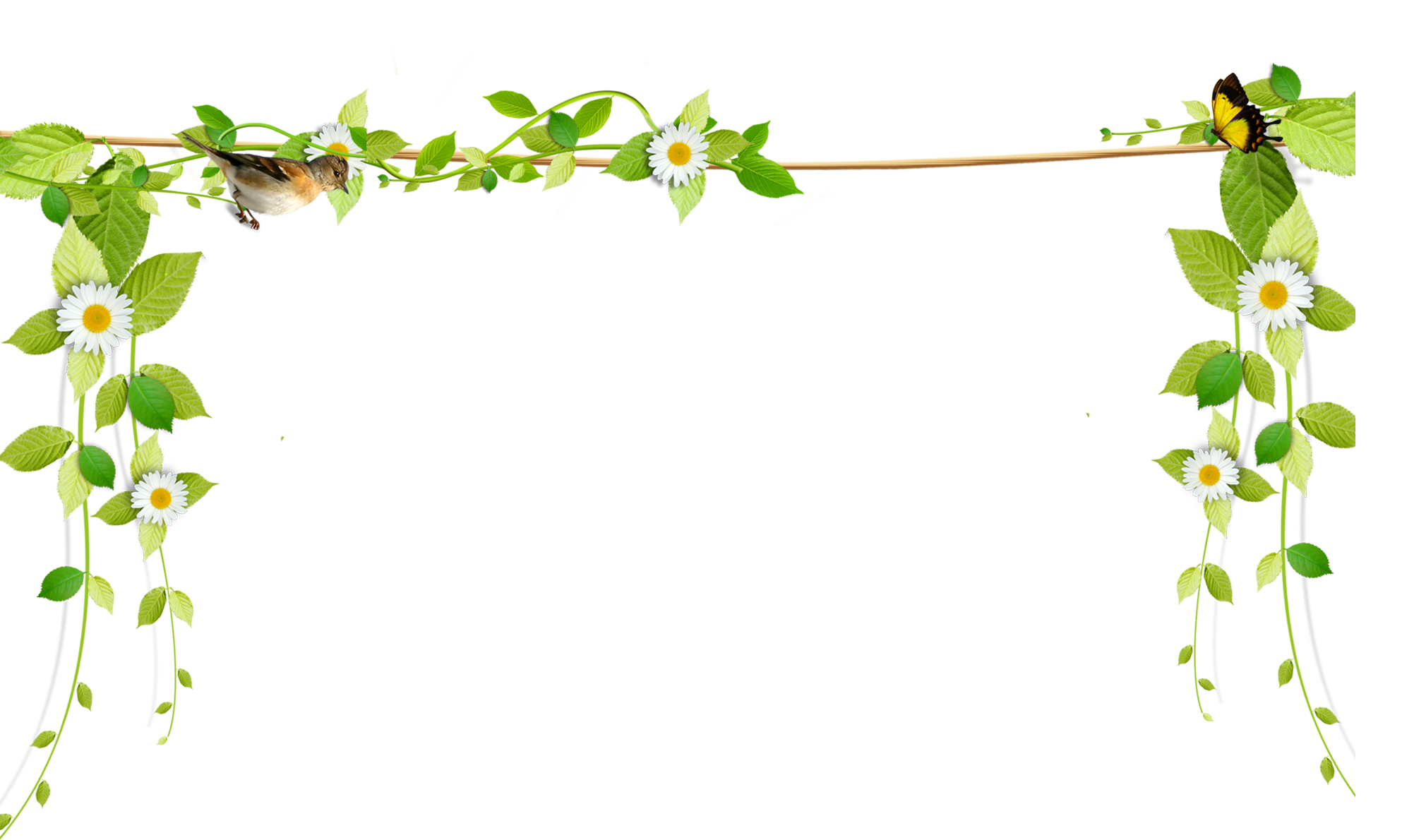 Green Vine Border with White Daisies and Bird