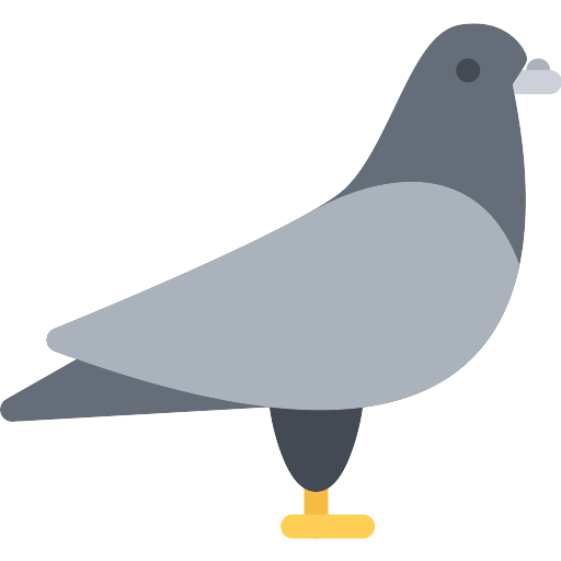 Grey Pigeon Flat Icon with Yellow Feet