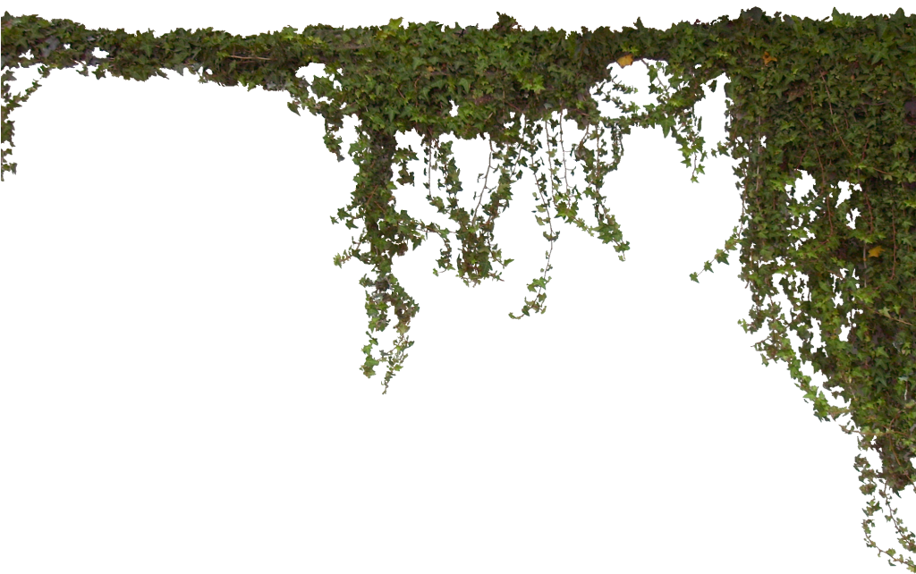 Dark Green Hanging Ivy Vines Border