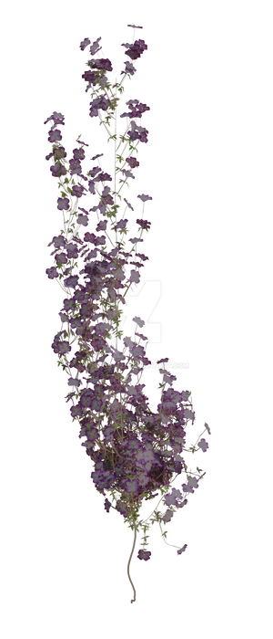 Cascading Purple Blossom Vine Stem