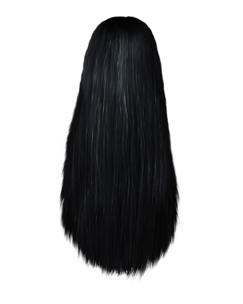 Long Straight Black Hair Rendered in Glossy Strands