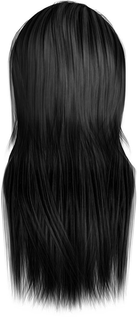 Long Straight Black Hair Wig Illustration
