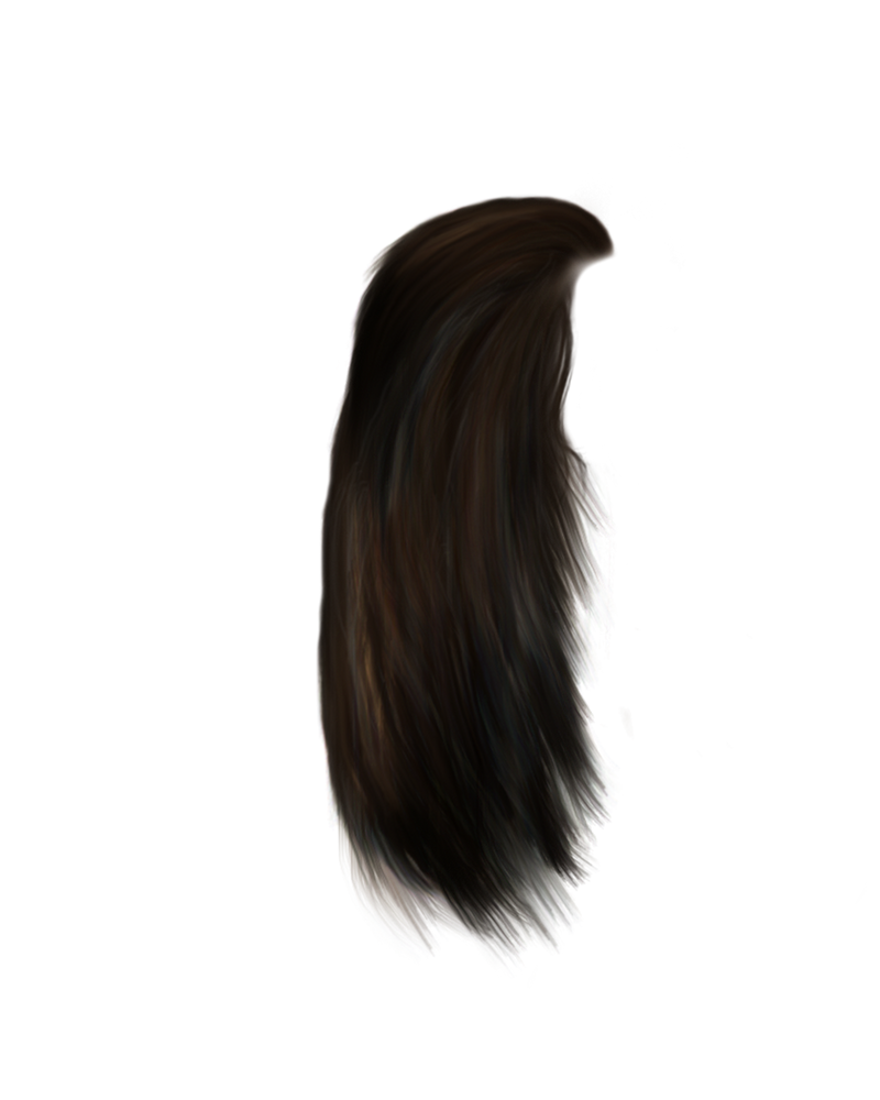 Long Dark Brown Straight Hair Strand