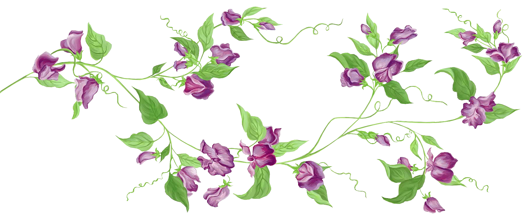 Purple Sweet Pea Vine Garland with Green Tendrils