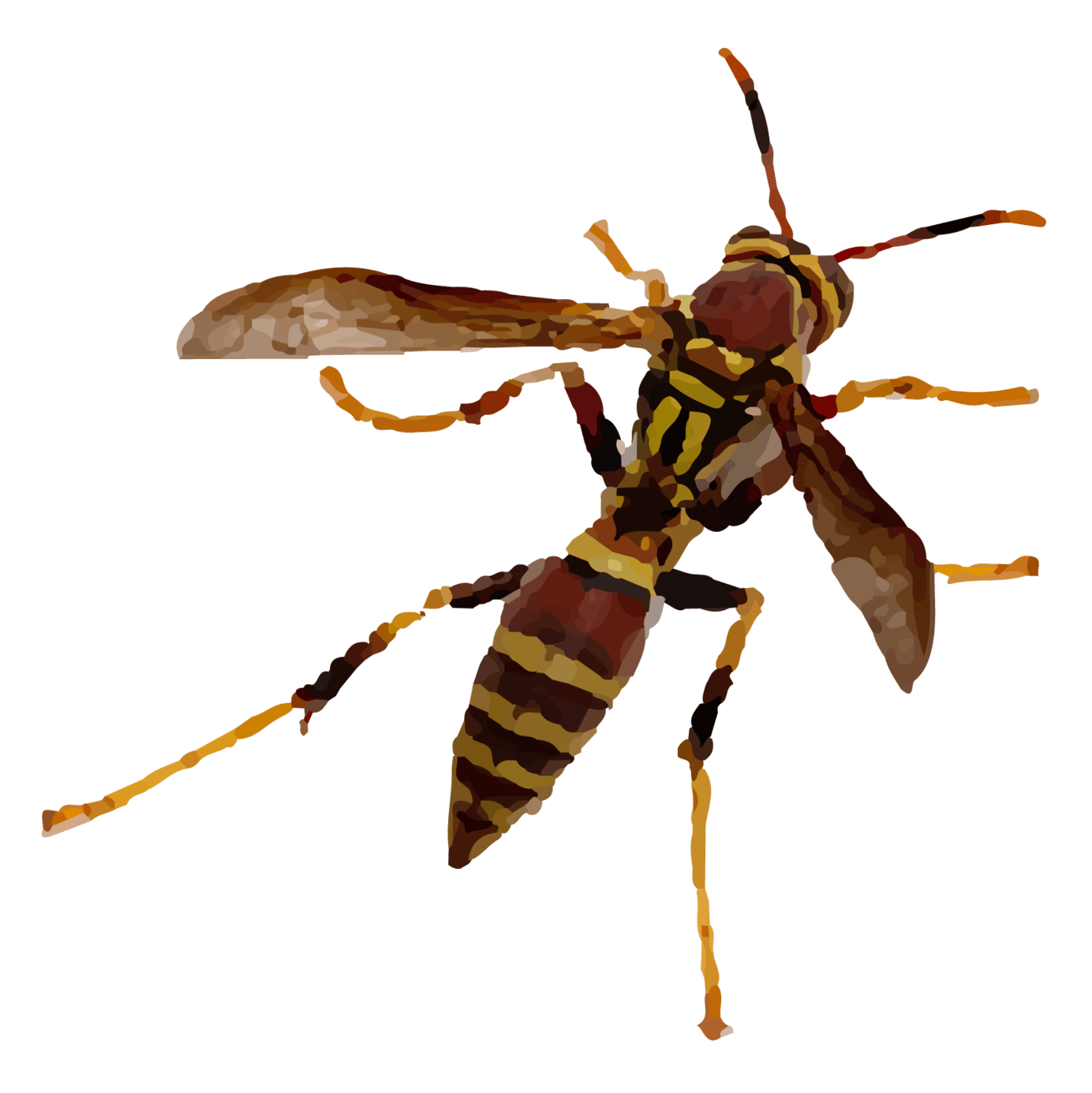 Stylized Wasp with Brown Banded Abdomen