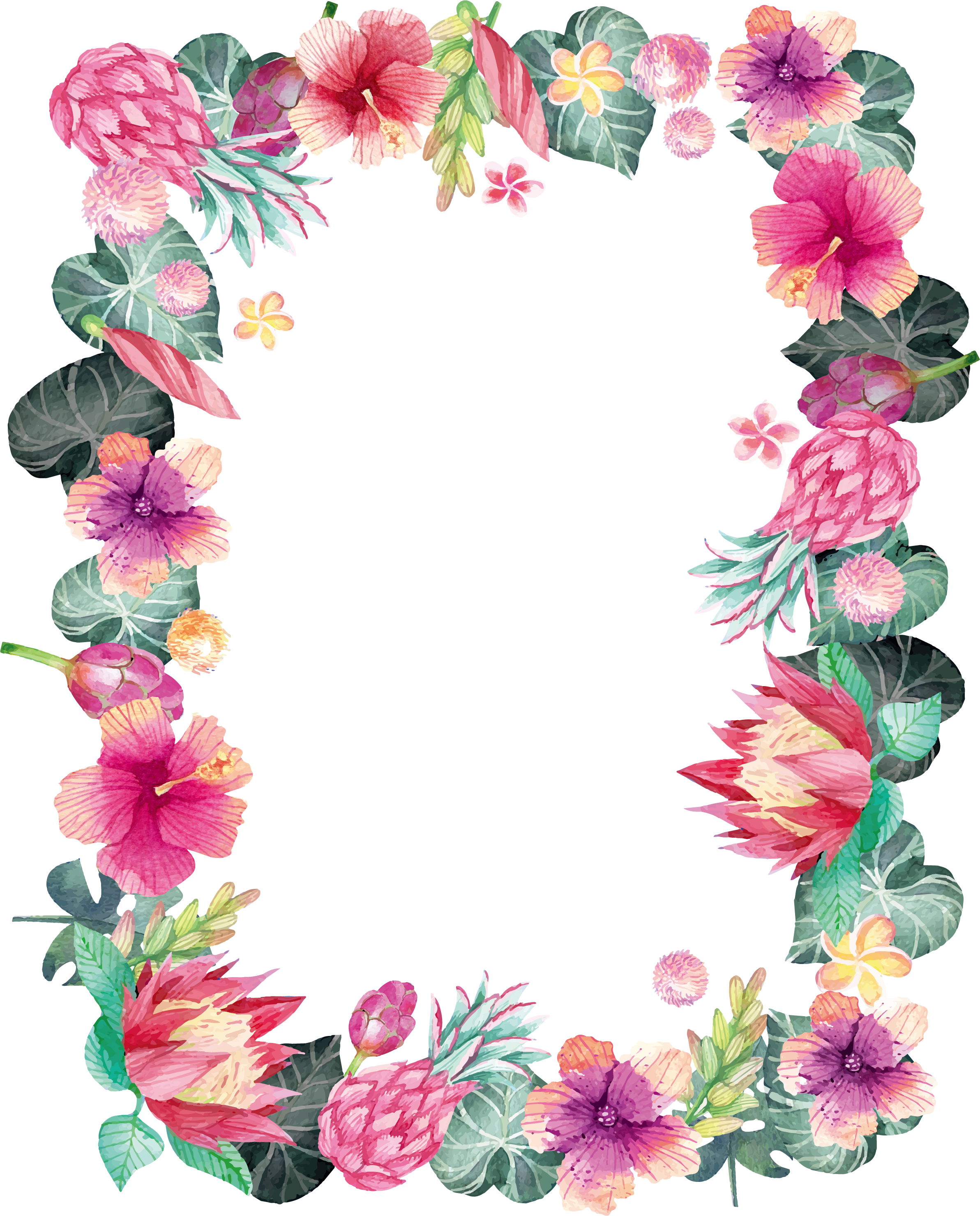 Tropical Watercolor Protea And Hibiscus Square Floral Frame Ultra HD PNG