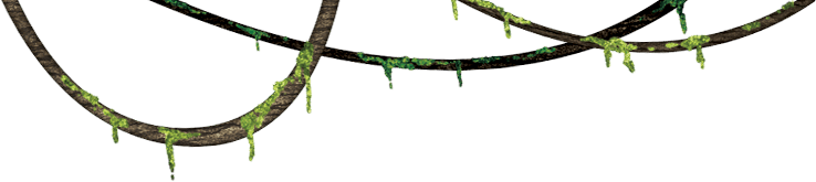 Mossy Brown Jungle Vine Border