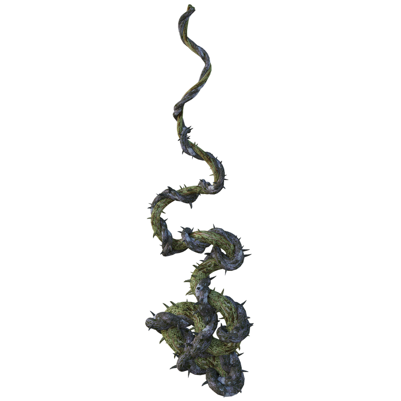 Twisted Thorny Green Vine Spiral