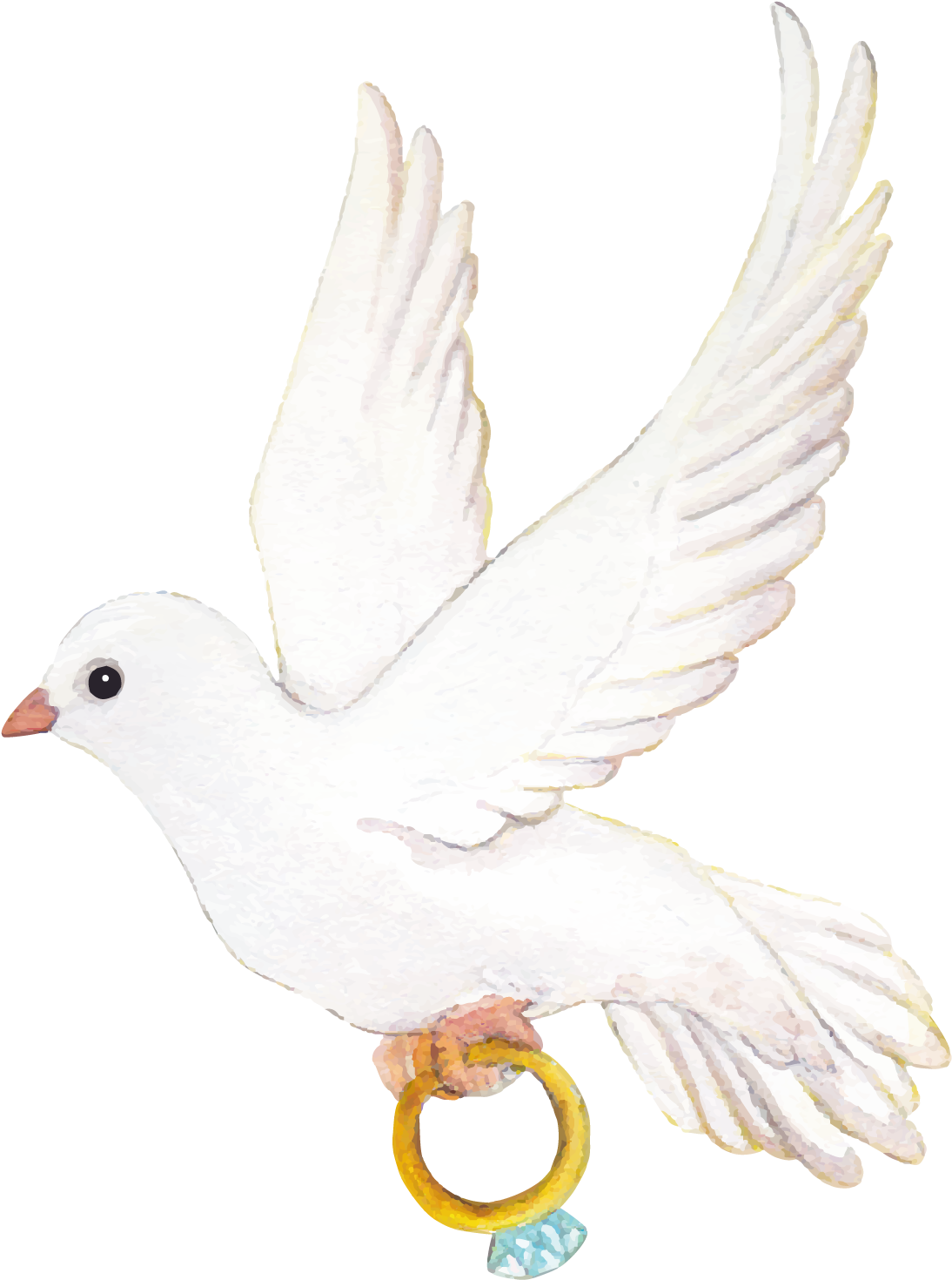 White Dove Carrying Gold Ring
