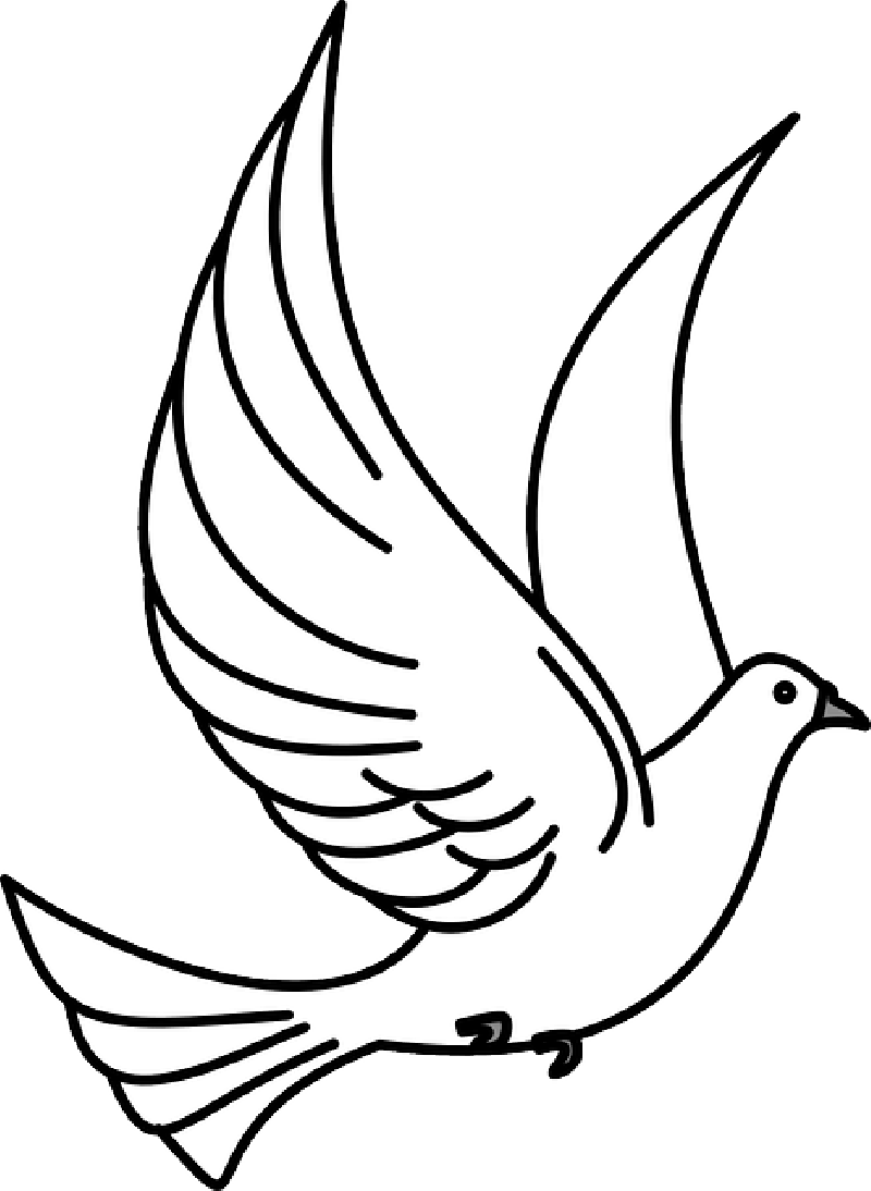 Flying Dove Line Art with Bold Black Outline