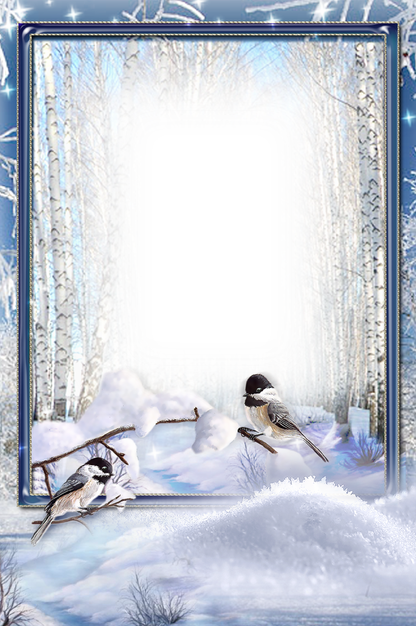 Birch Trees Winter Photo Frame Snowy Birds Vertical PNG