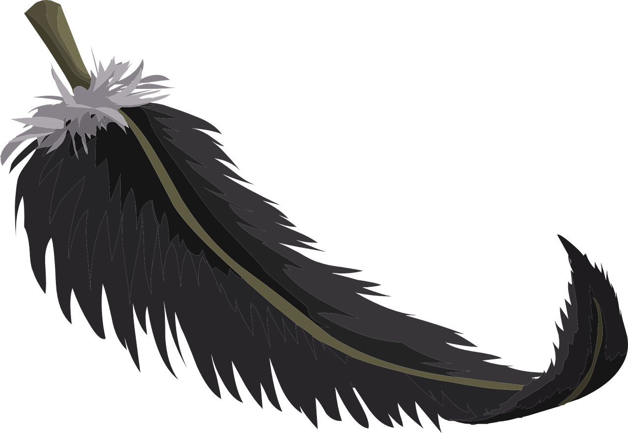 Black Fluffy Plume Feather Curved Large PNG Image With Transparency