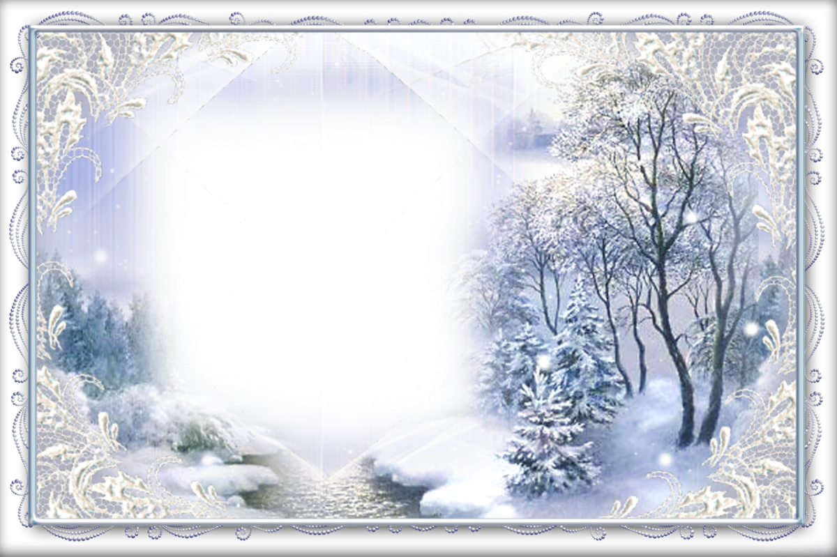 Frosty Winter Forest Photo Frame With Snowy Trees Transparent Background PNG Image
