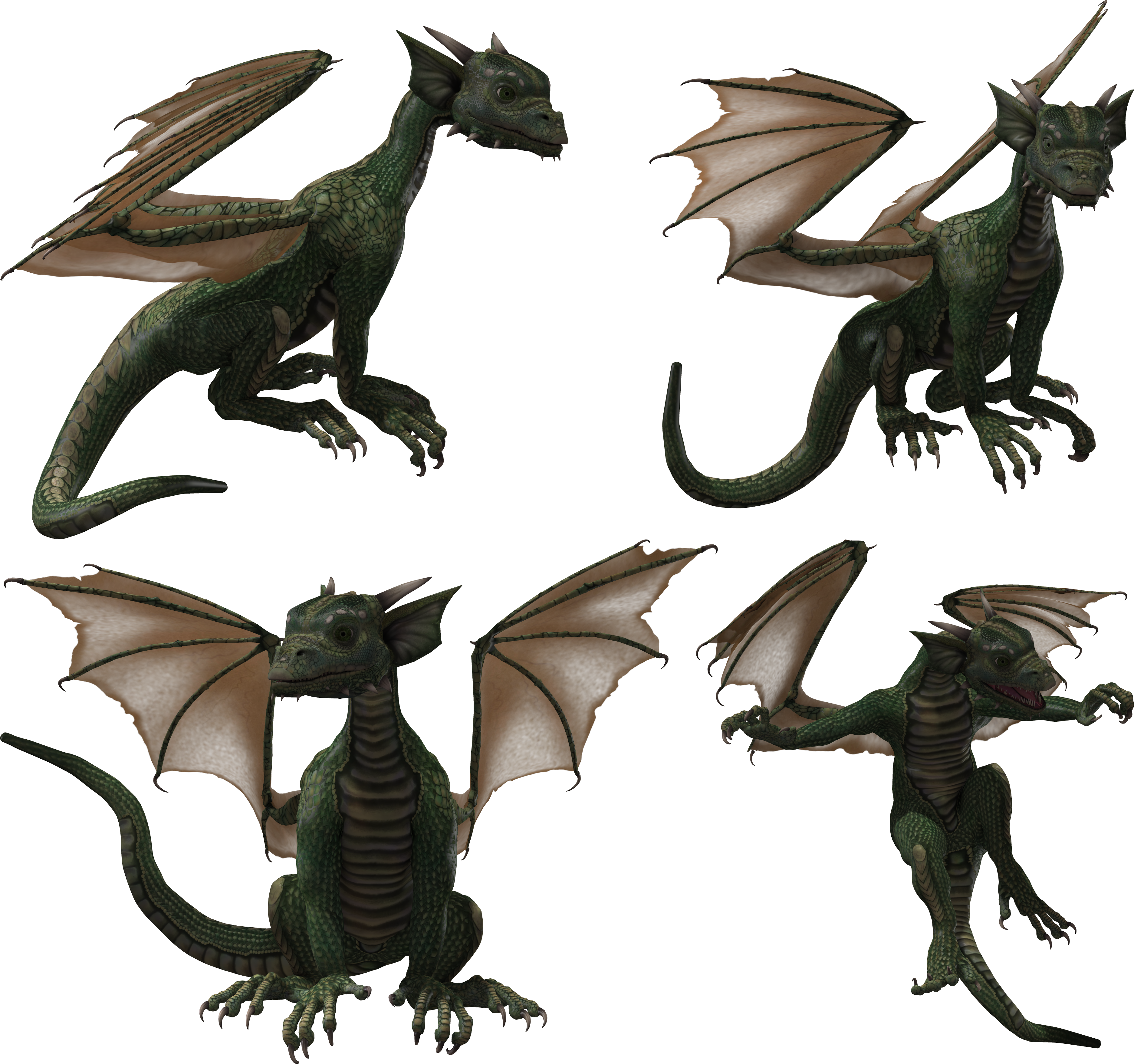 Green Dragon Four Poses with Tan Wings