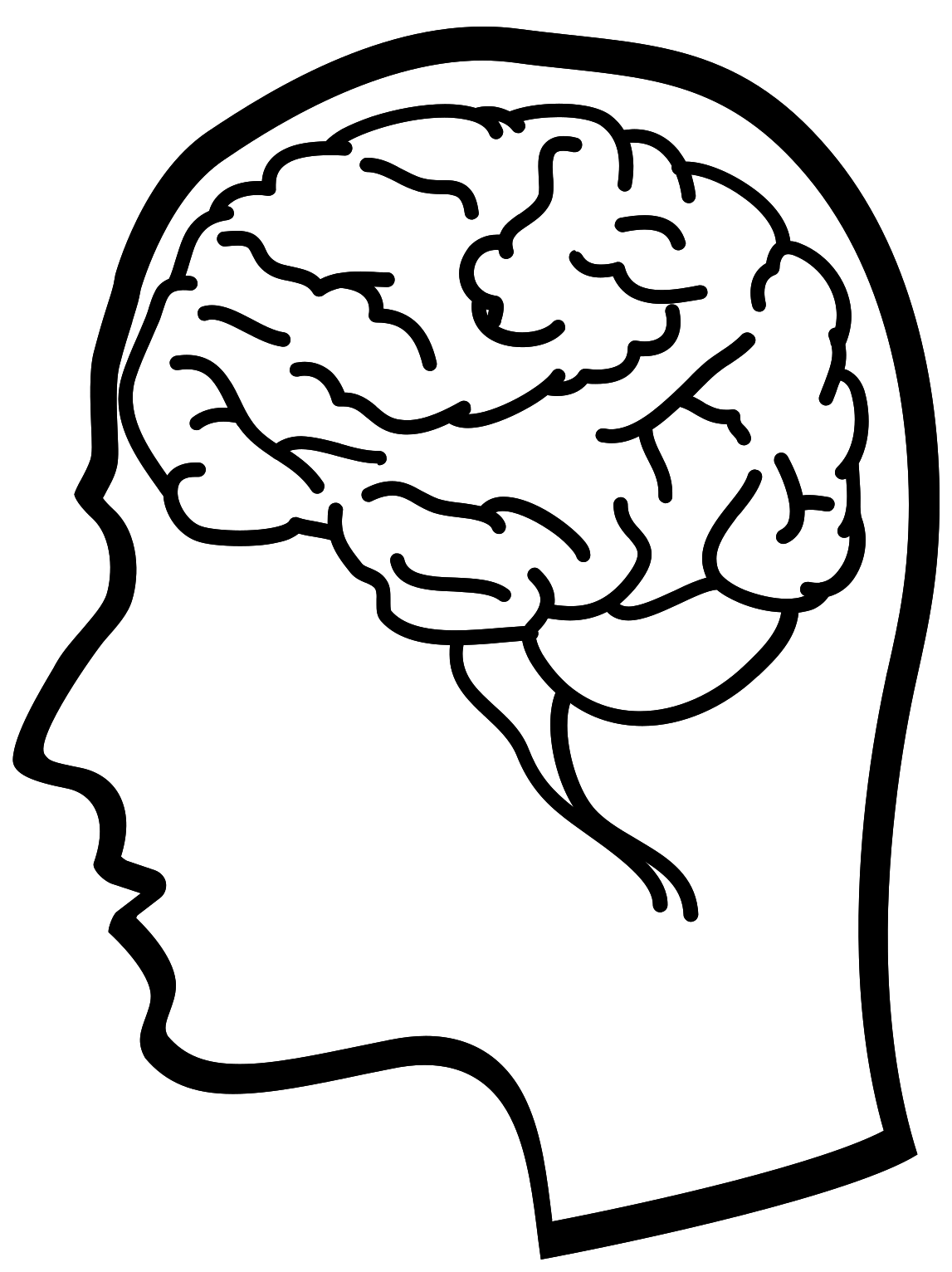 Head Profile With Brain Line Drawing PNG Image With Transparency