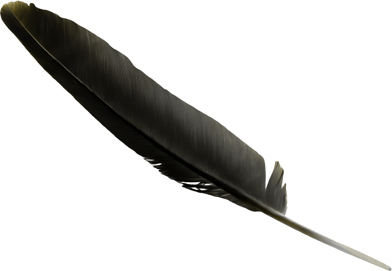 Realistic Black Crow Feather Diagonal PNG Picture
