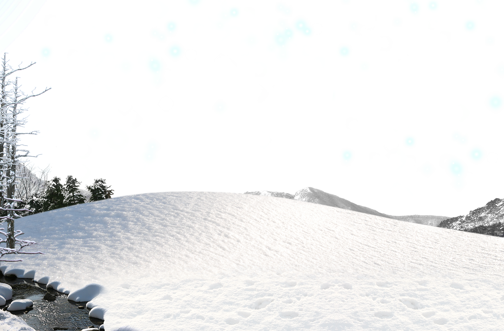 Snow Covered Field With Trees And Stream Winter Scene PNG