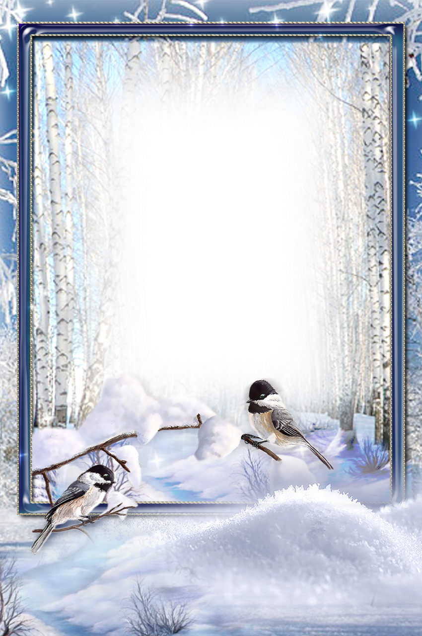 Snowy Birch Forest Winter Frame With Chickadee Birds Transparent Background PNG Image