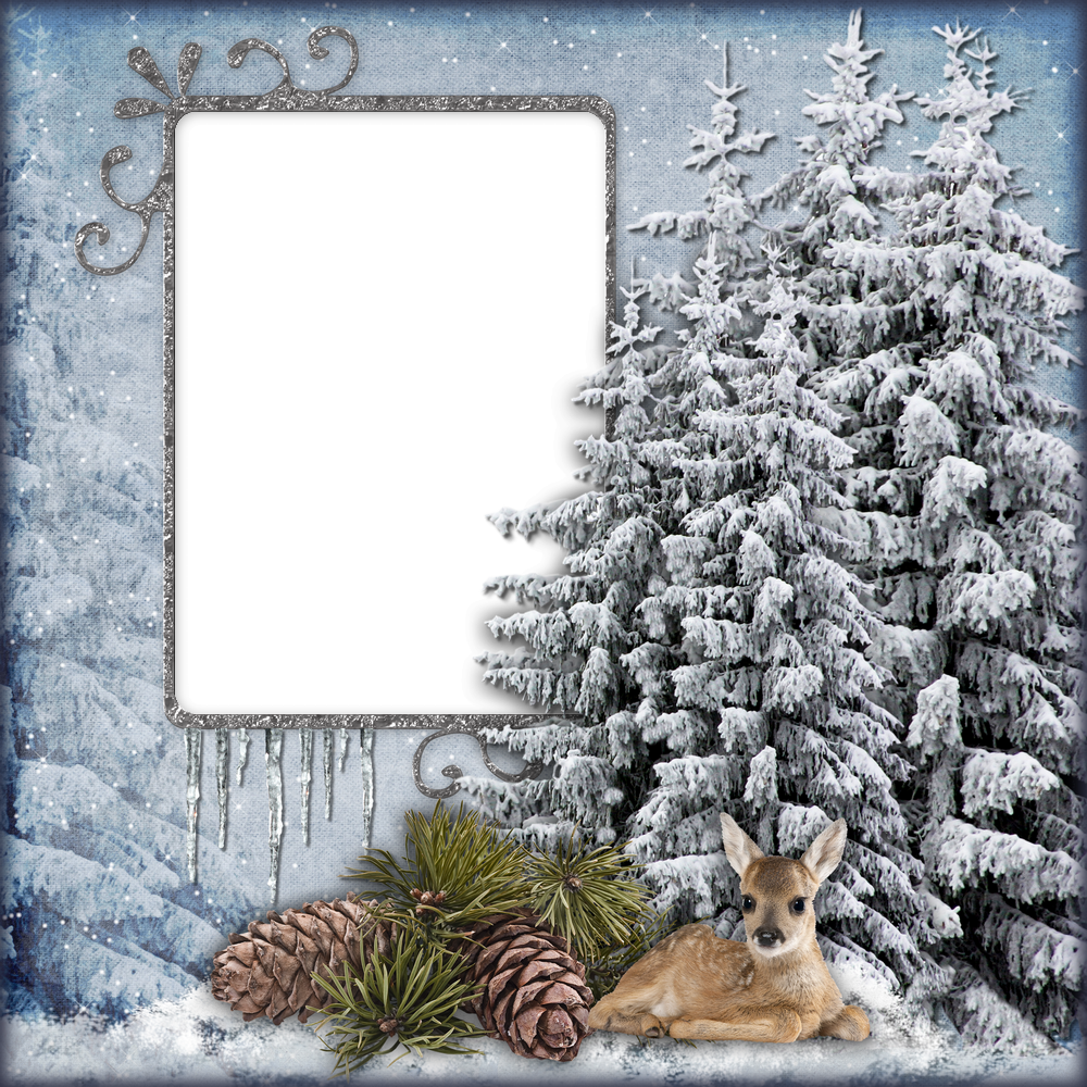 Winter Forest Frame With Fawn And Pine Cones PNG Graphic