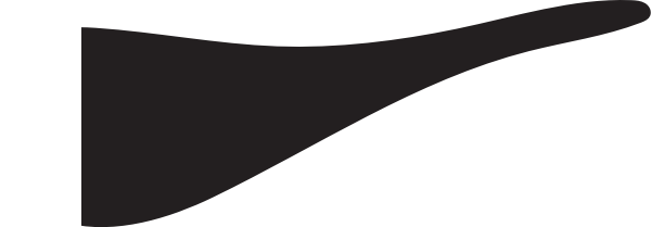 Solid Black Swoosh Brush Stroke Shape