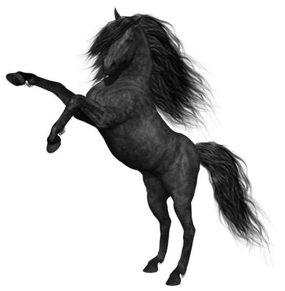 Rearing Black Horse with Flowing Mane