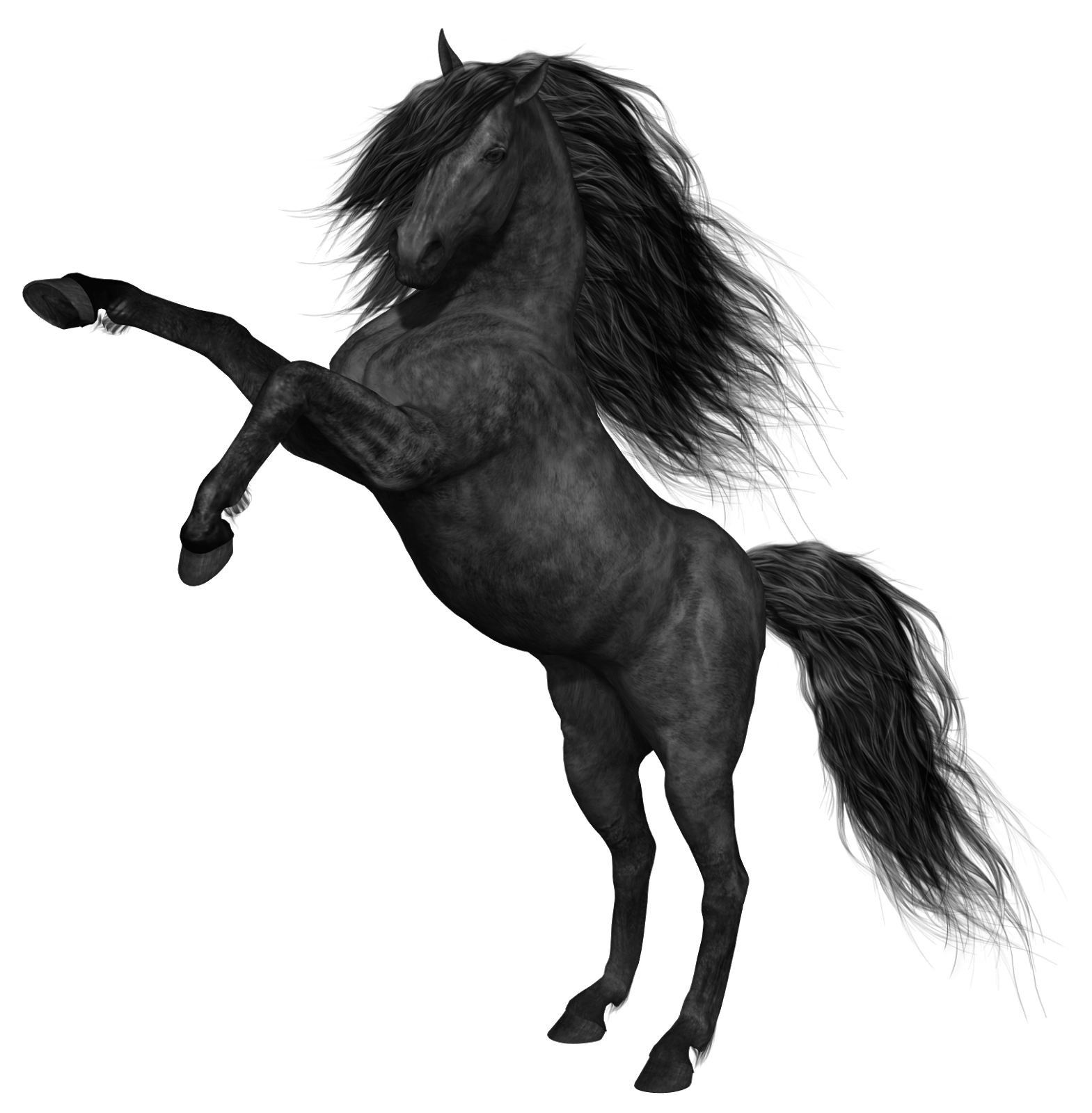 Rearing Black Stallion with Flowing Mane