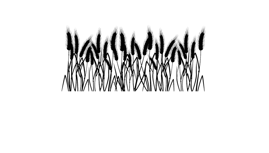 Black Wheat Ear Silhouette Row Illustration