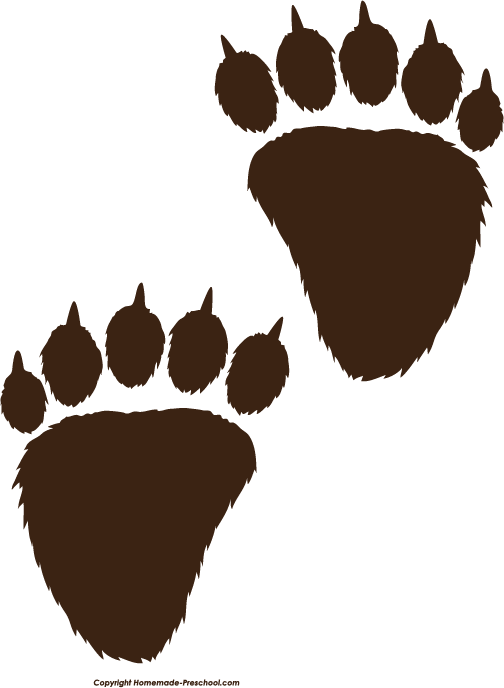 Brown Bear Paw Prints with Claws