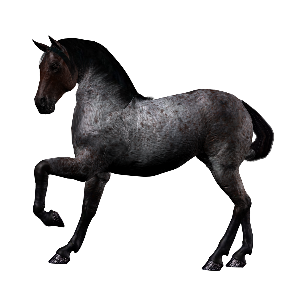 Roan Horse Lifting Front Leg in Dark Tones