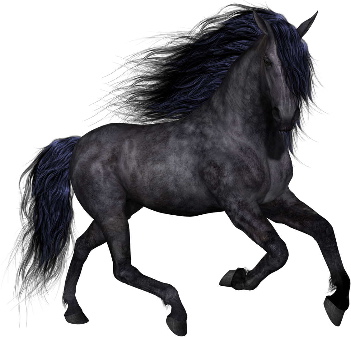 Dark Grey Horse with Flowing Blue-Black Mane