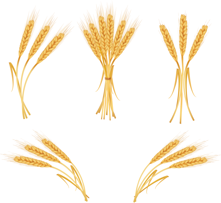 Golden Wheat Ear Bundles Set