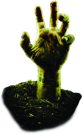 Rotting Zombie Hand Rising from Dirt