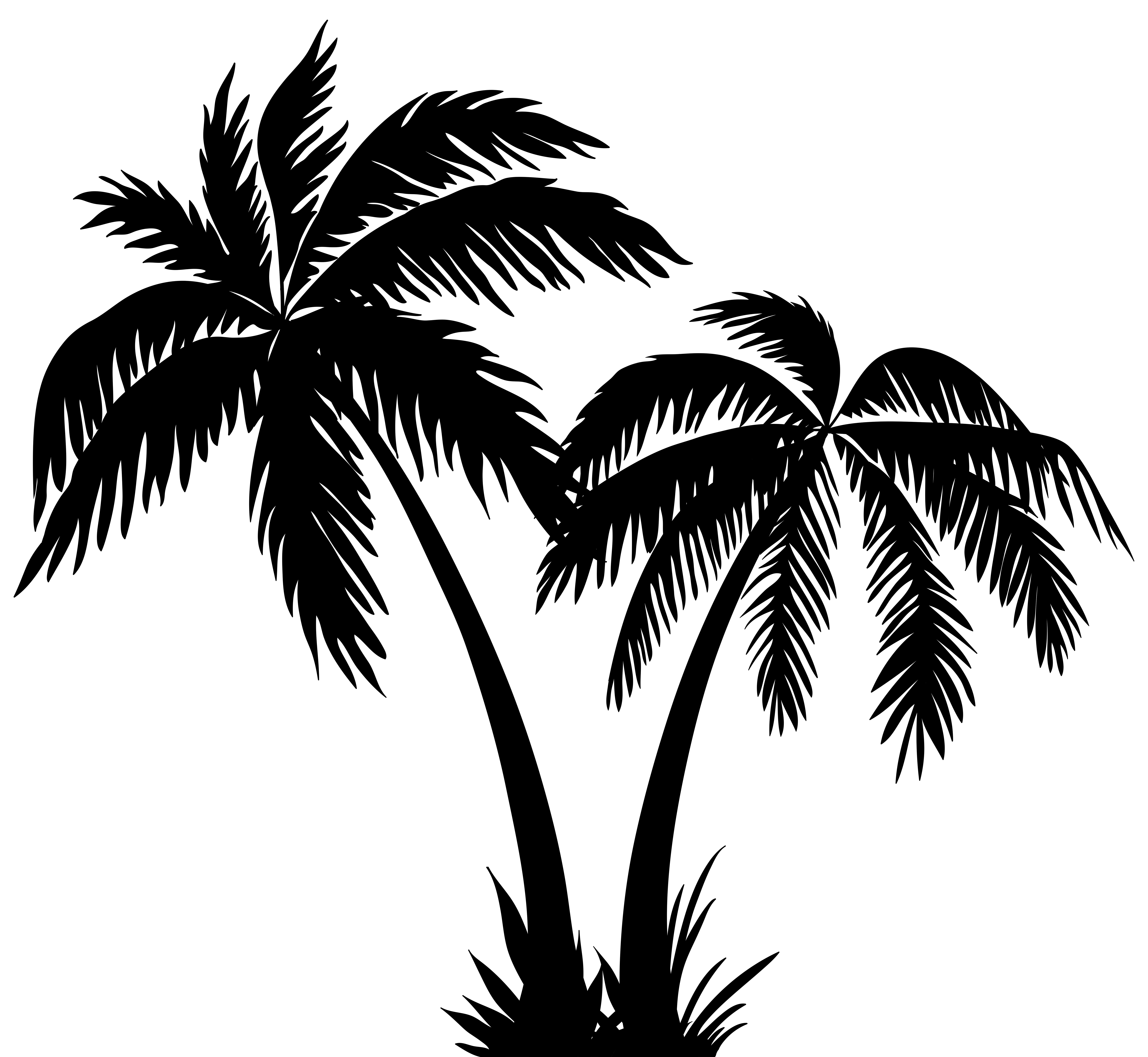 Black Palm Tree Silhouette with Grass
