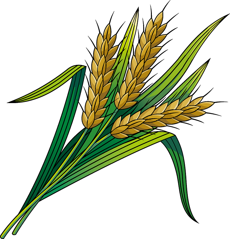 Golden Wheat Ears with Green Leaves