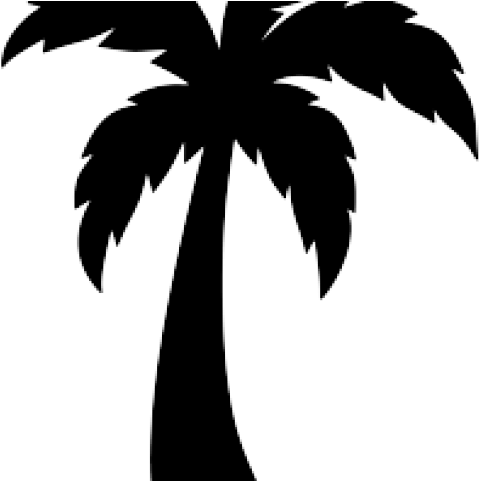 Black Palm Tree Silhouette with Wide Canopy