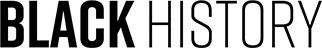 Black Bold and Thin Text Banner Logo