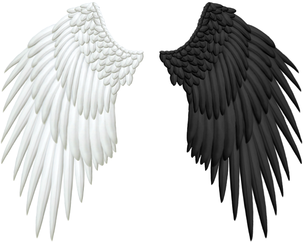 White and Black Angel Wings Pair