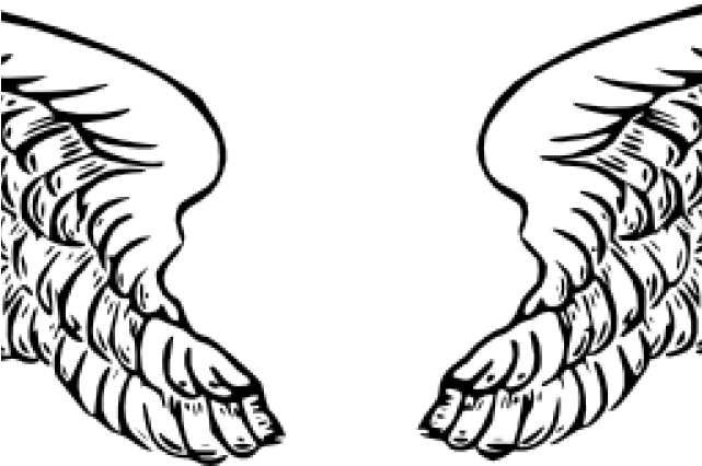 Engraved Angel Wings Black Line Art
