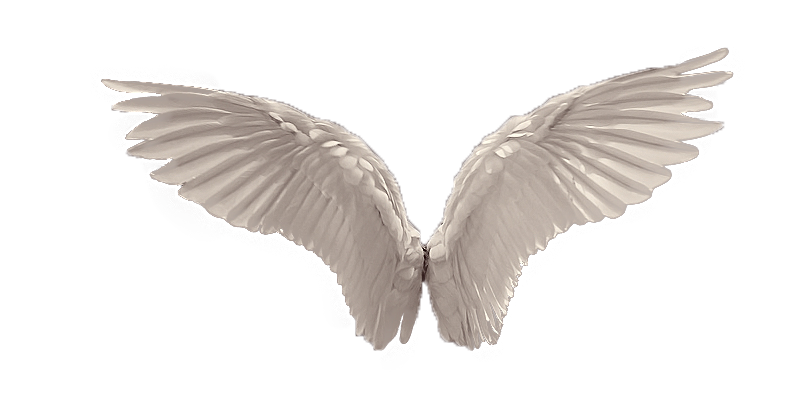 Spread Angel Wings in Soft Beige Tones