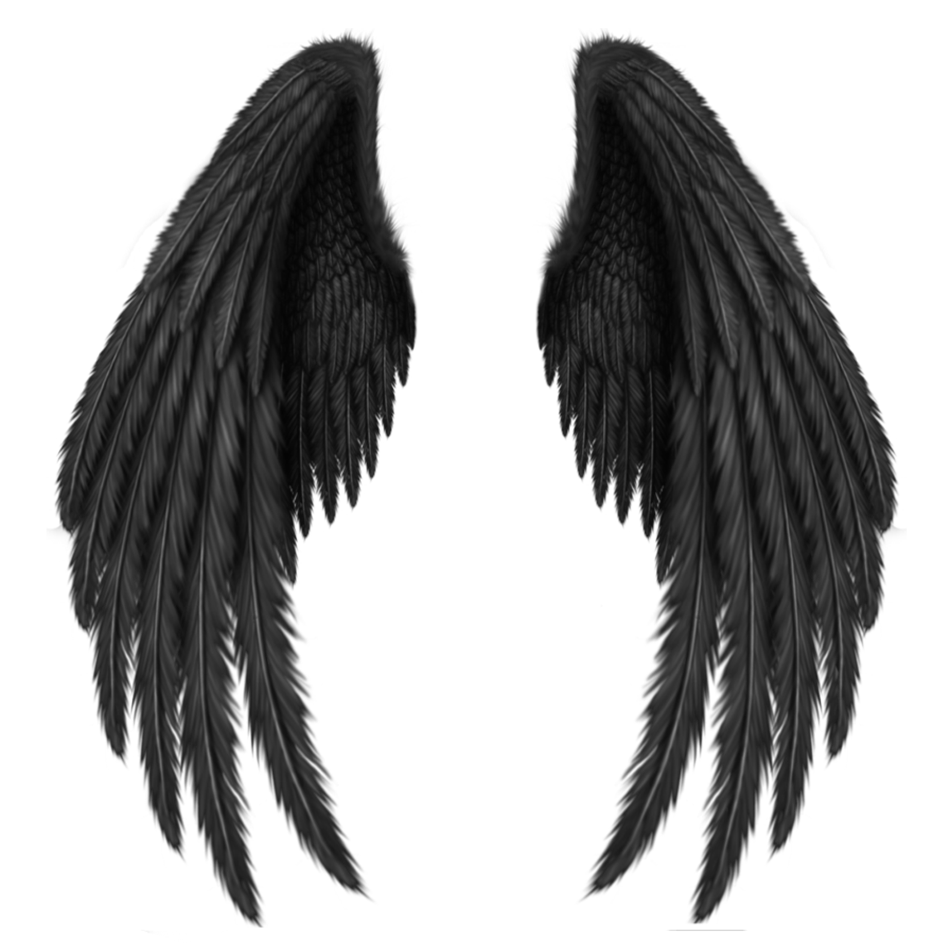 Black Feathered Angel Wings Pair
