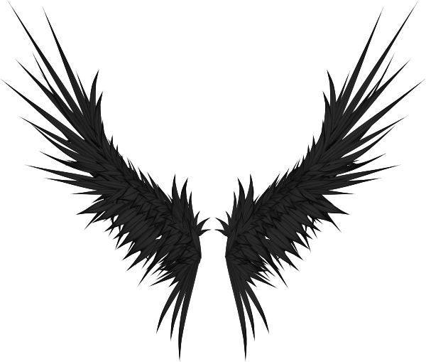 Black Spiky Feathered Wings Pair