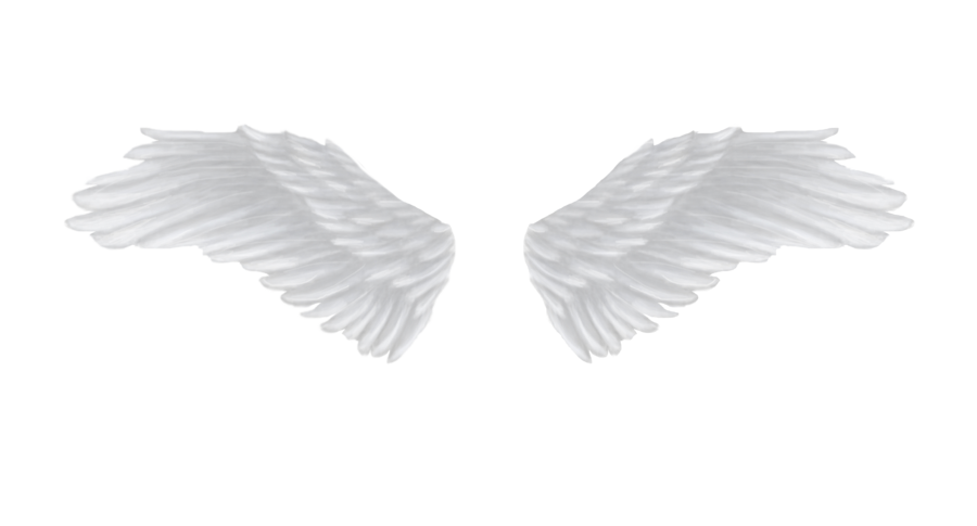 Pair of Soft White Angel Wings