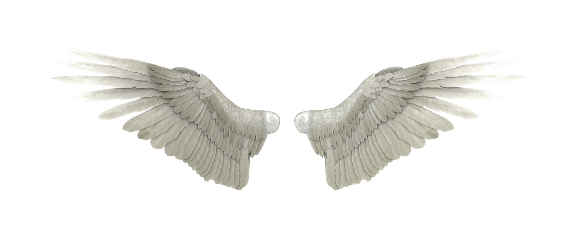 Pair of Grey Feathered Angel Wings