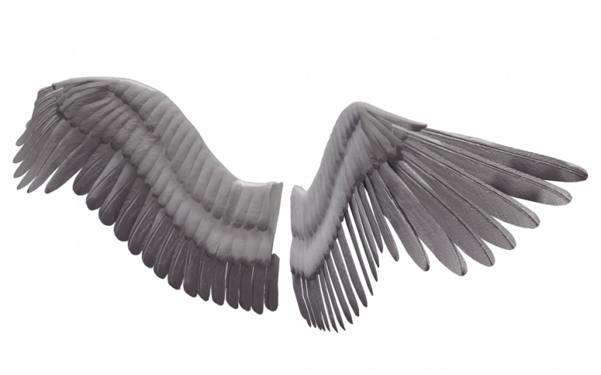 Grey Feathered Angel Wings Pair